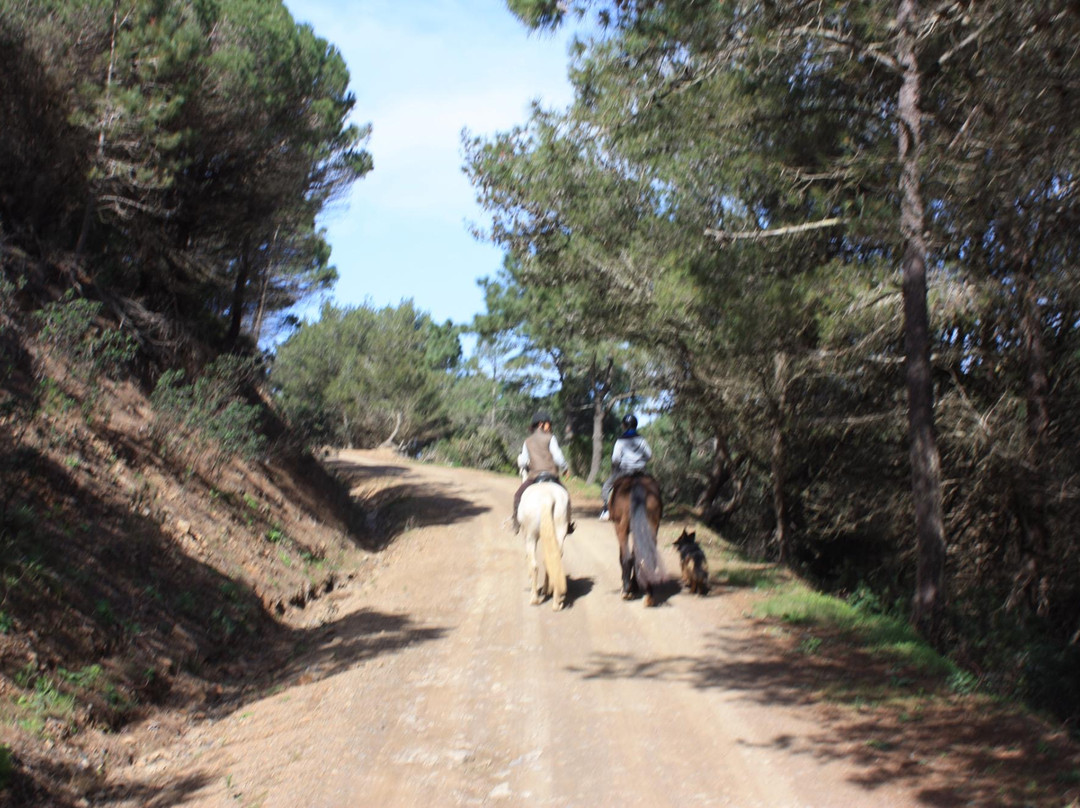 Equivicentinos-Vila do Bispo必去景点