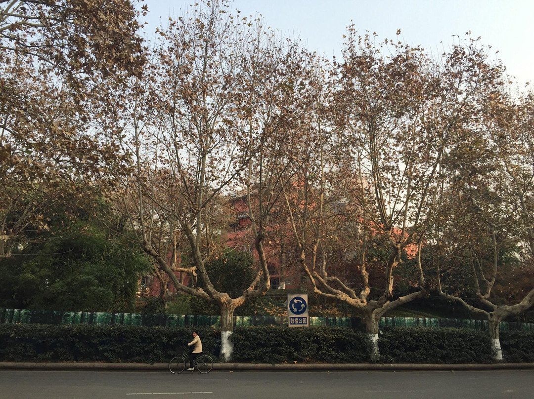 鼓楼公园景点图片