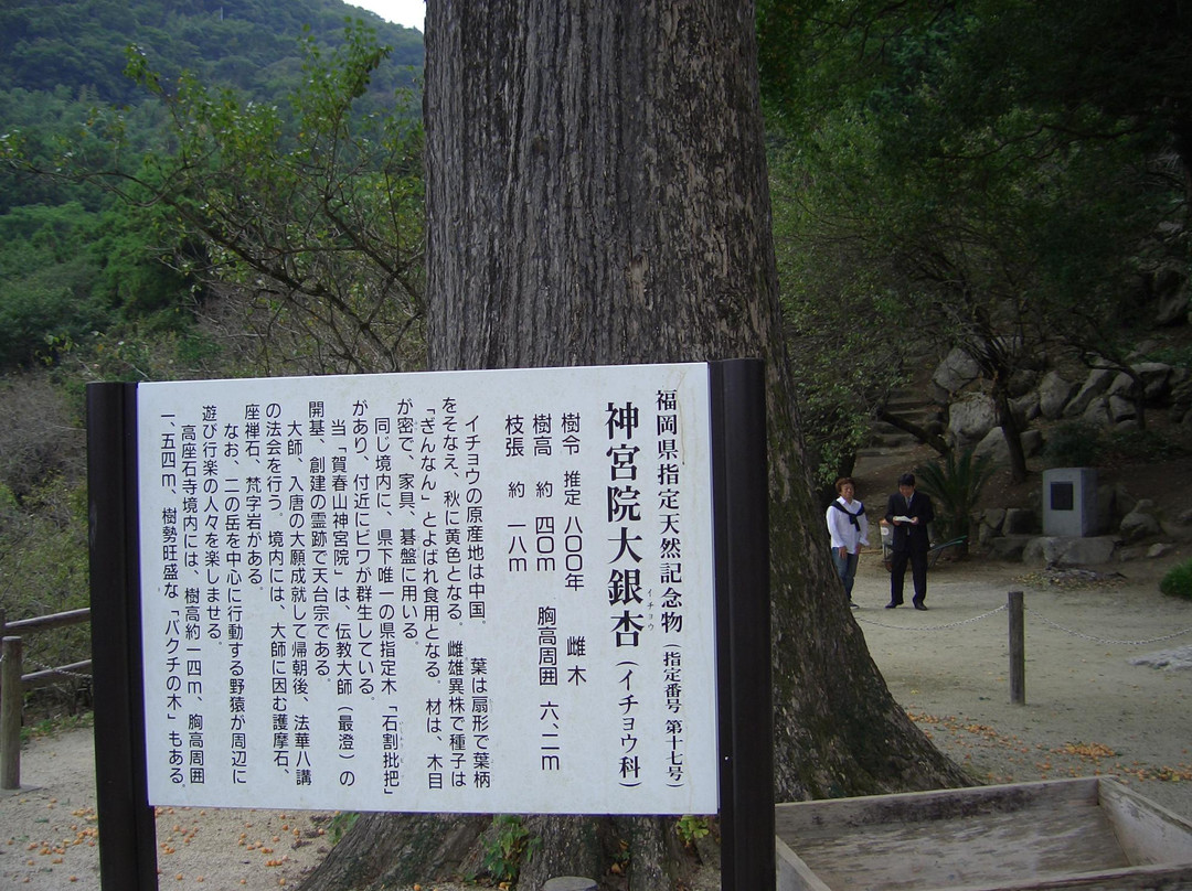 Jinguin Temple