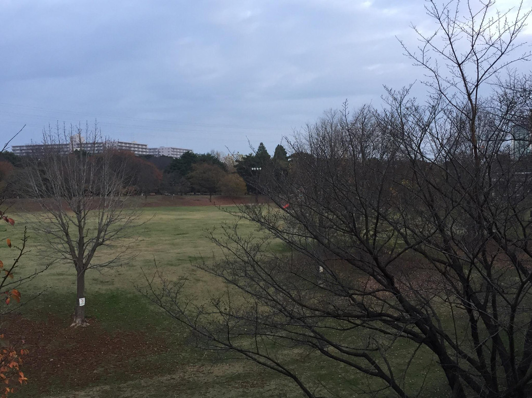 Wako Jurin Park-和光市必去景点