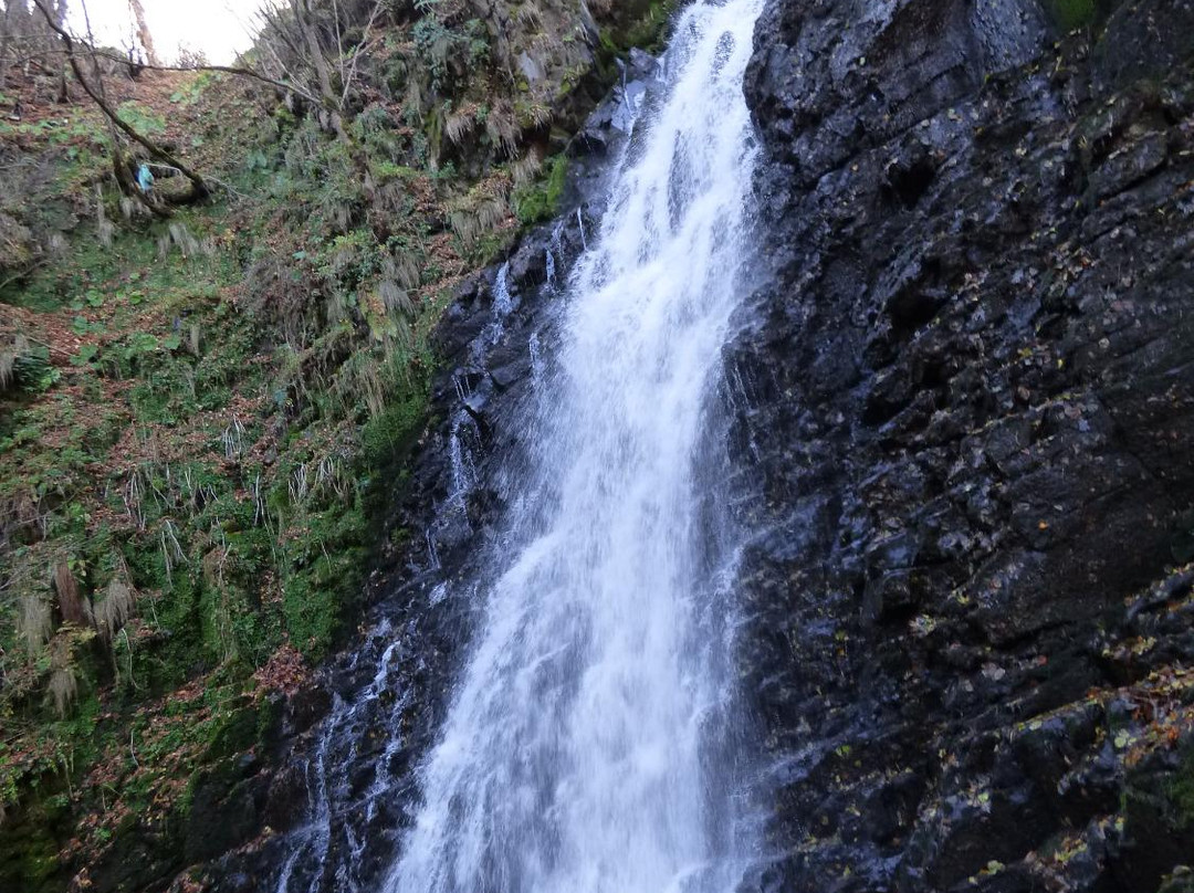 Cascade du pont de la Roche-Cheylade必去景点