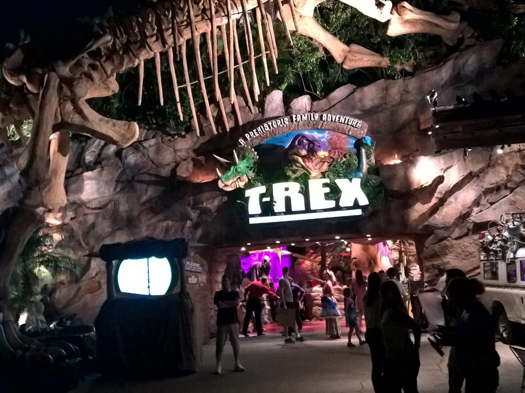 Basin at Disney Springs Marketplace-奥兰多必去景点