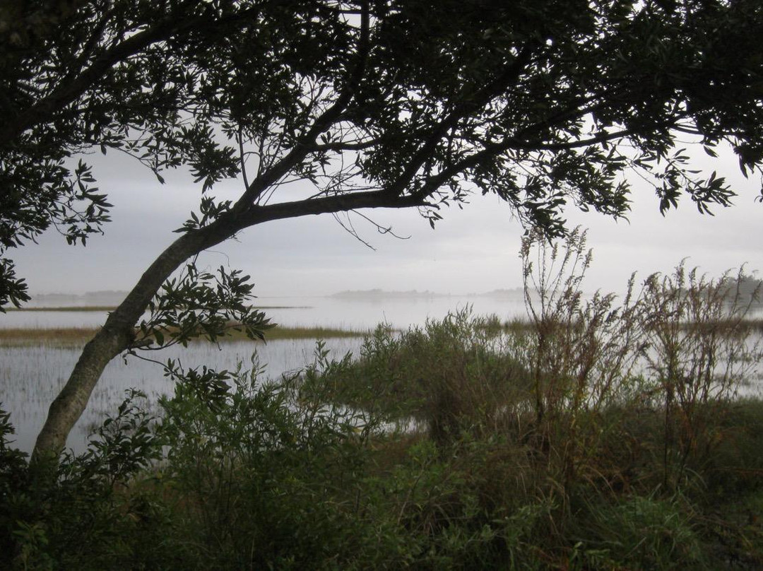 The Inlet At Lanier Pointe