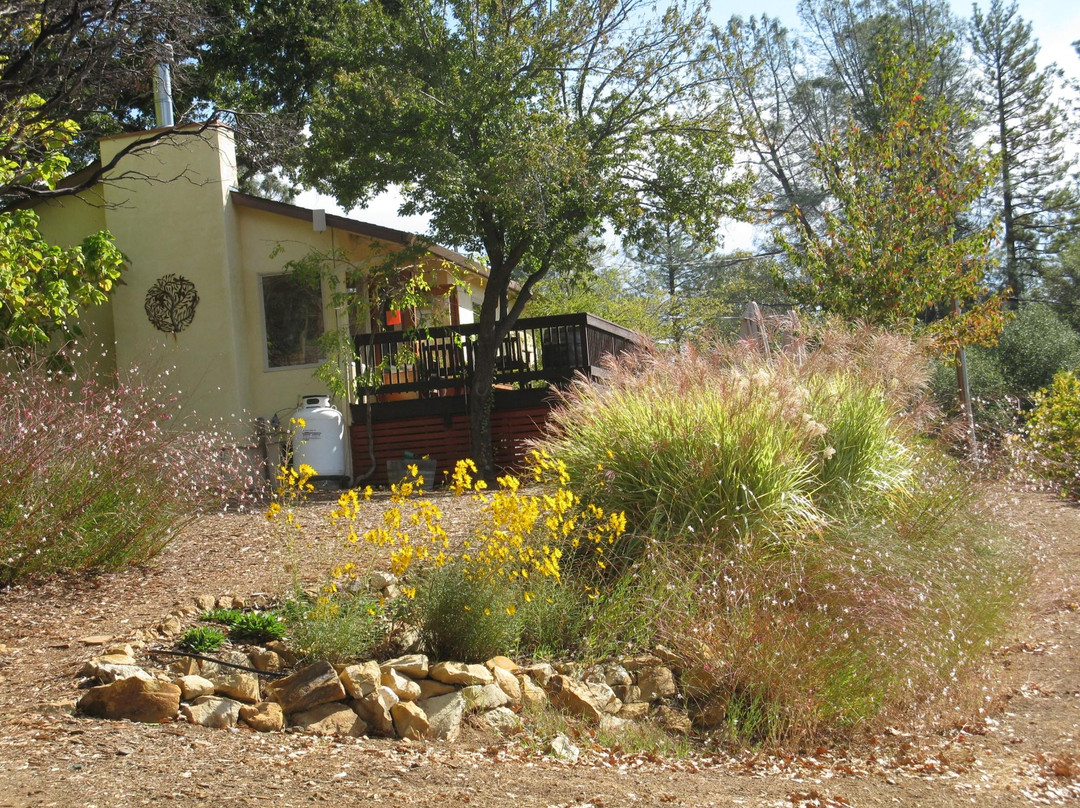 Holly's Hill Vineyards & Brewery景点图片