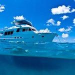 Aroona Luxury Boat Charters - Day Cruise景点图片