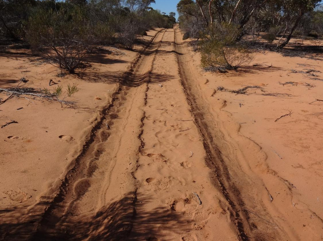 Goog's Track-Ceduna必去景点