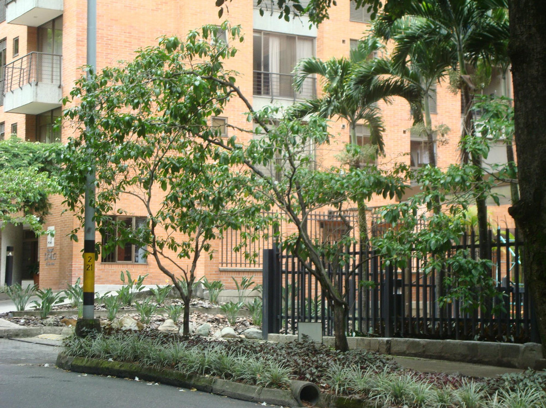 Prado-麦德林必去景点