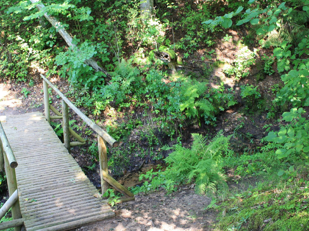 Skanakalna Nature park-Mazsalaca必去景点