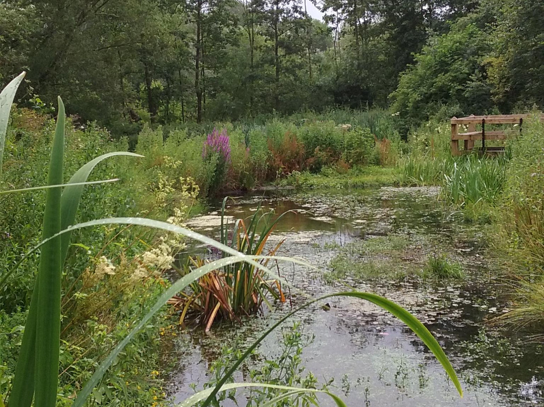 Sandbach Park-Sandbach必去景点