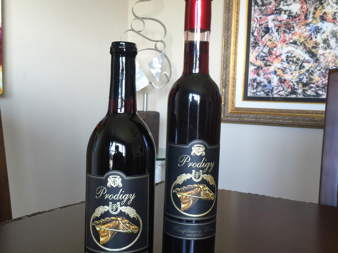 Prodigy Vineyards & Winery-法兰克福必去景点