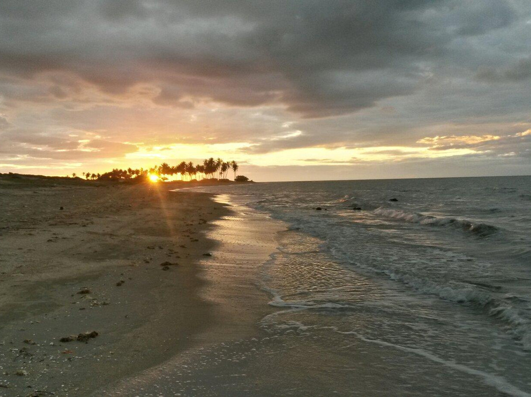 Cajueiro Beach景点图片