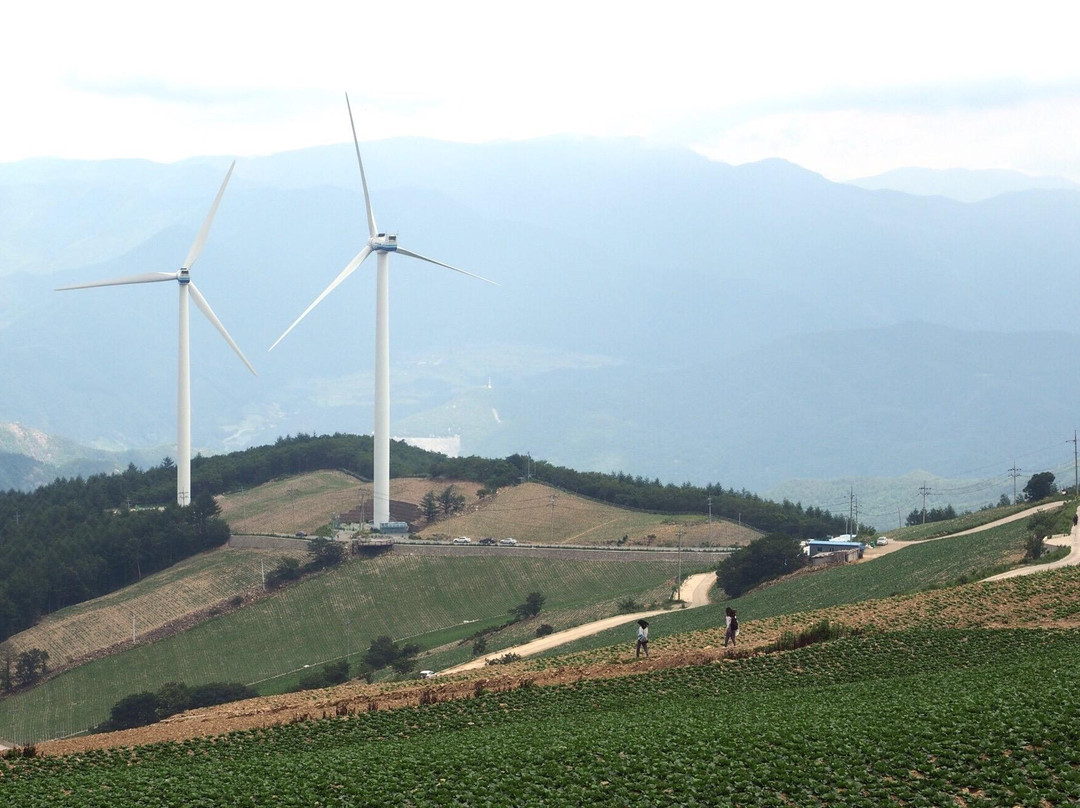 Maebongsan Wind Power Plant Complex-太白市必去景点