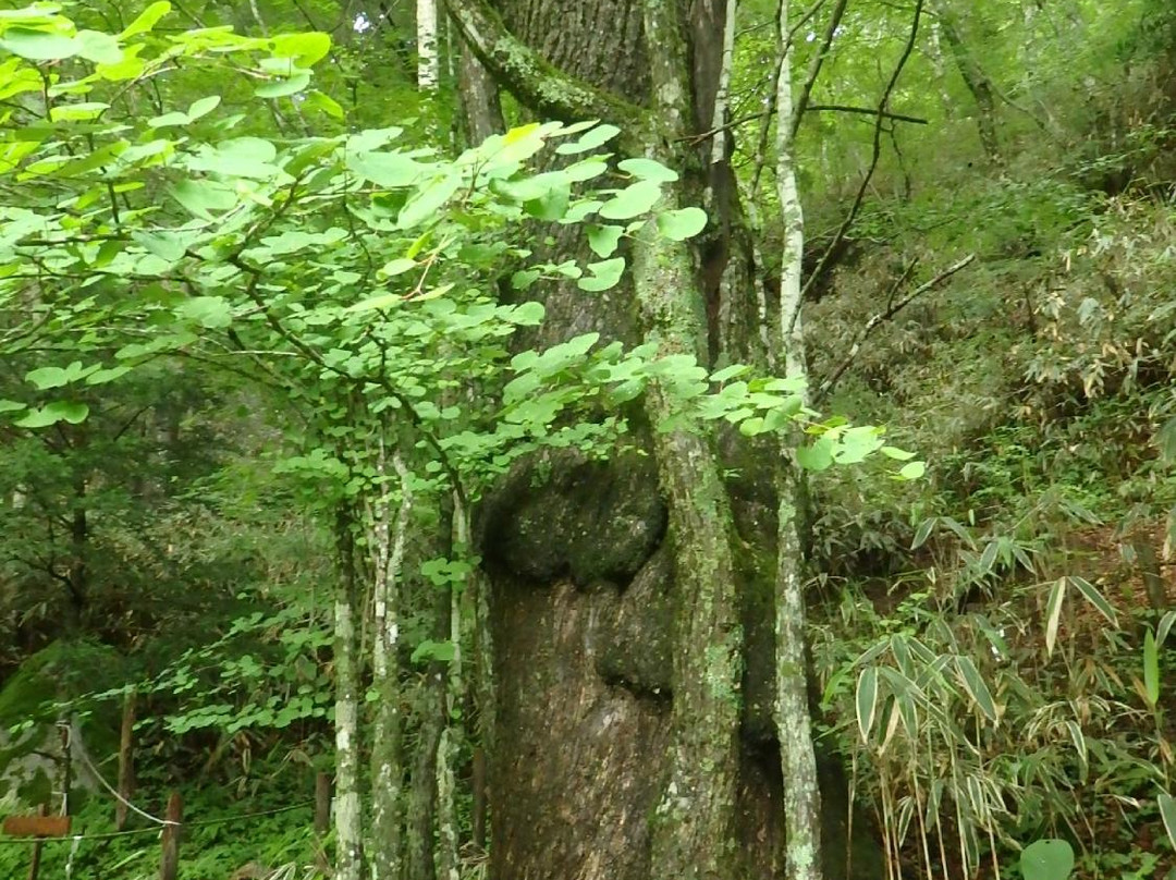 Ishiwari Shrine景点图片