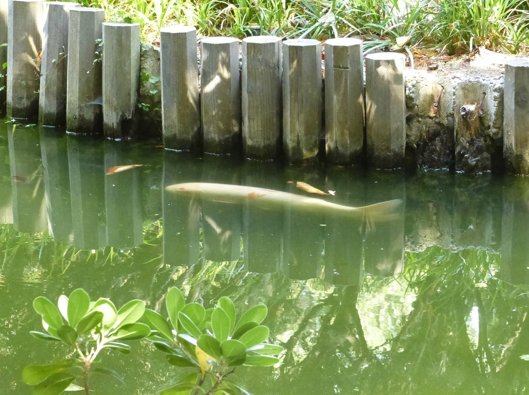 The San Mateo Japanese Garden-圣马特奥必去景点