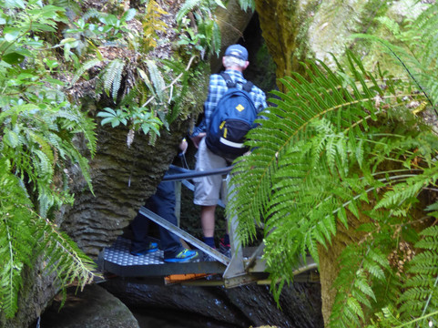 萤火虫洞-蒂阿瑙必去景点
