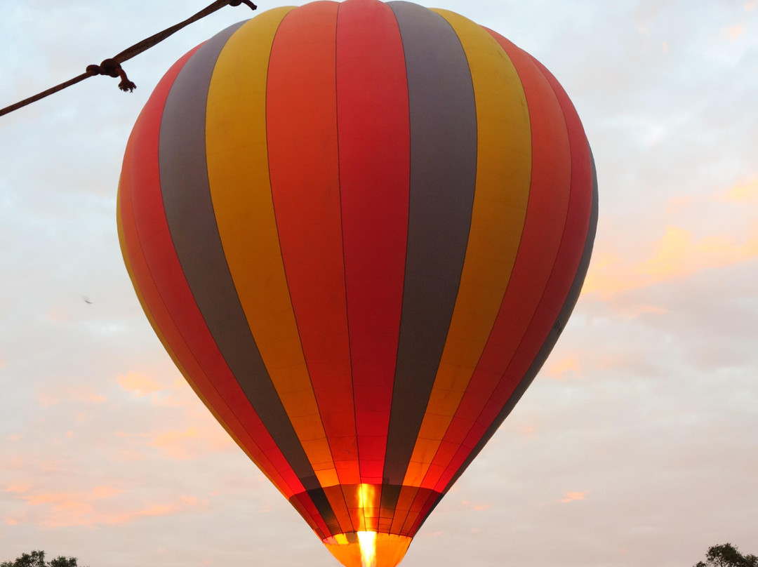 Governors’ Balloon Safaris-马赛马拉国家野生动物保护区必去景点