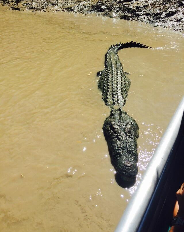 Adelaide River Cruises景点图片