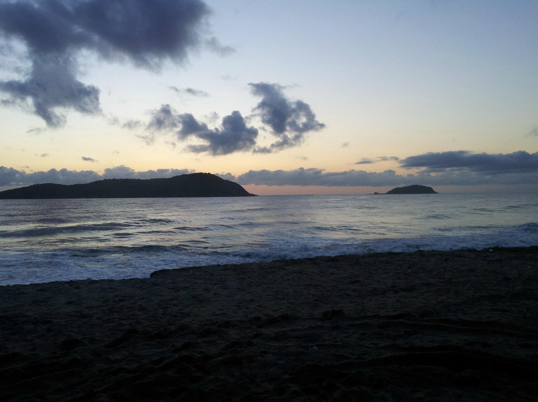Barra do Sul Beach-Sao Francisco do Sul必去景点