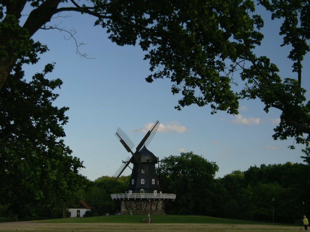 Slottstradgarden景点图片