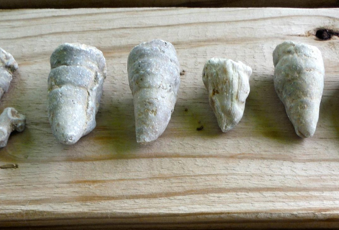 Versailles State Park-Versailles必去景点