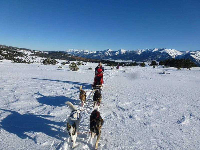 Alaskan Team景点图片