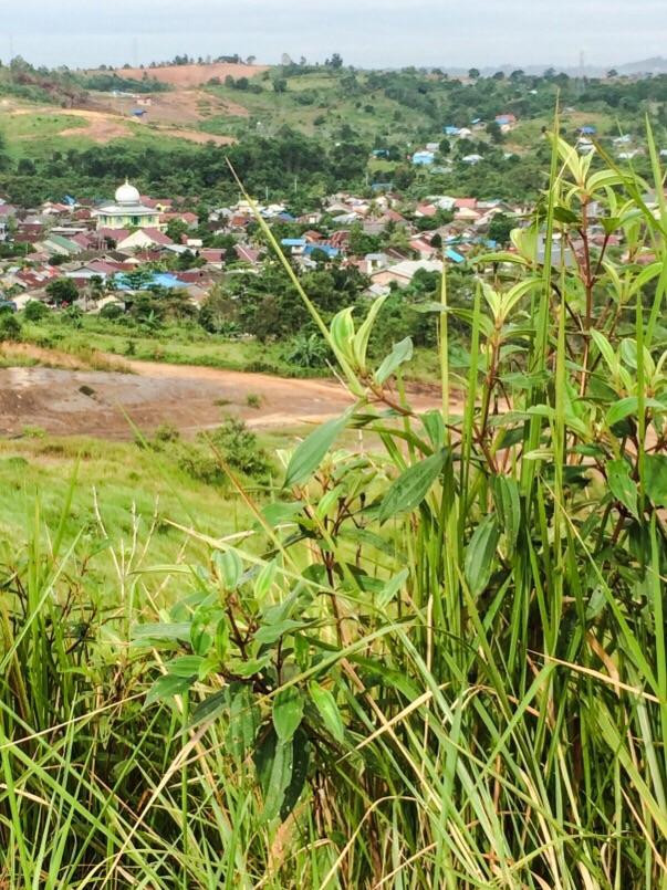 Alpha Hill-巴厘巴板必去景点