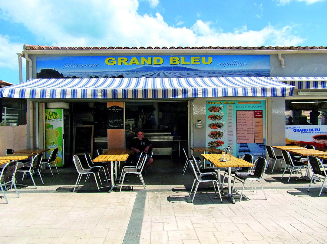 Le Grand Bleu