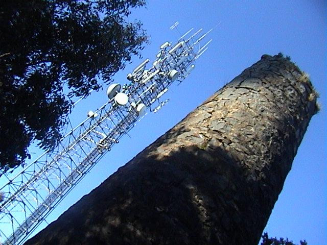 Mount Macedon-马其顿必去景点