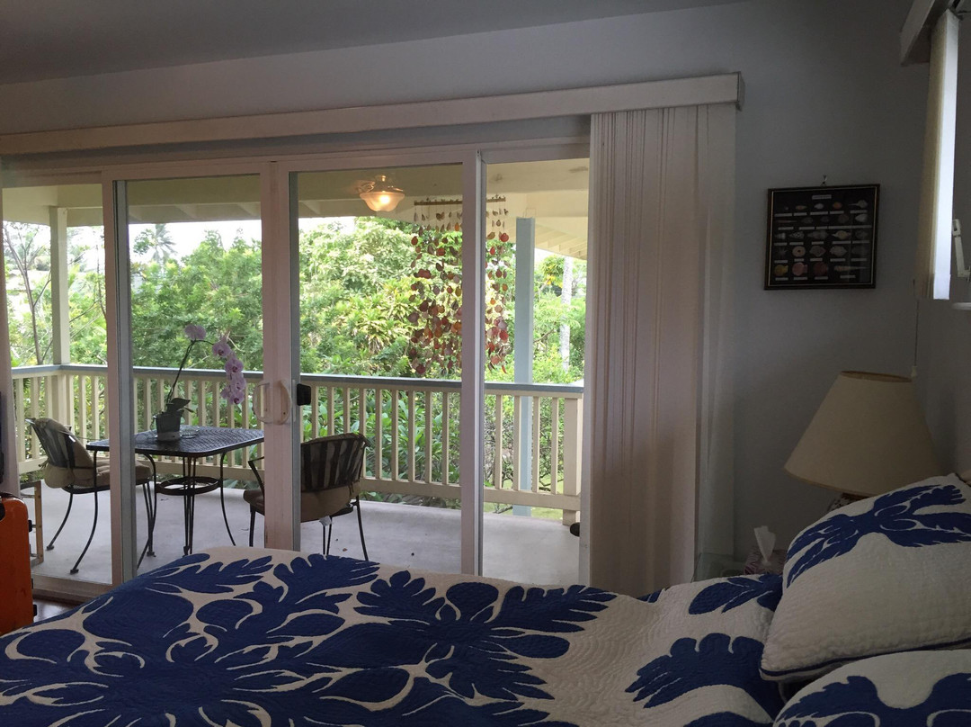 Kailua Guesthouse主图