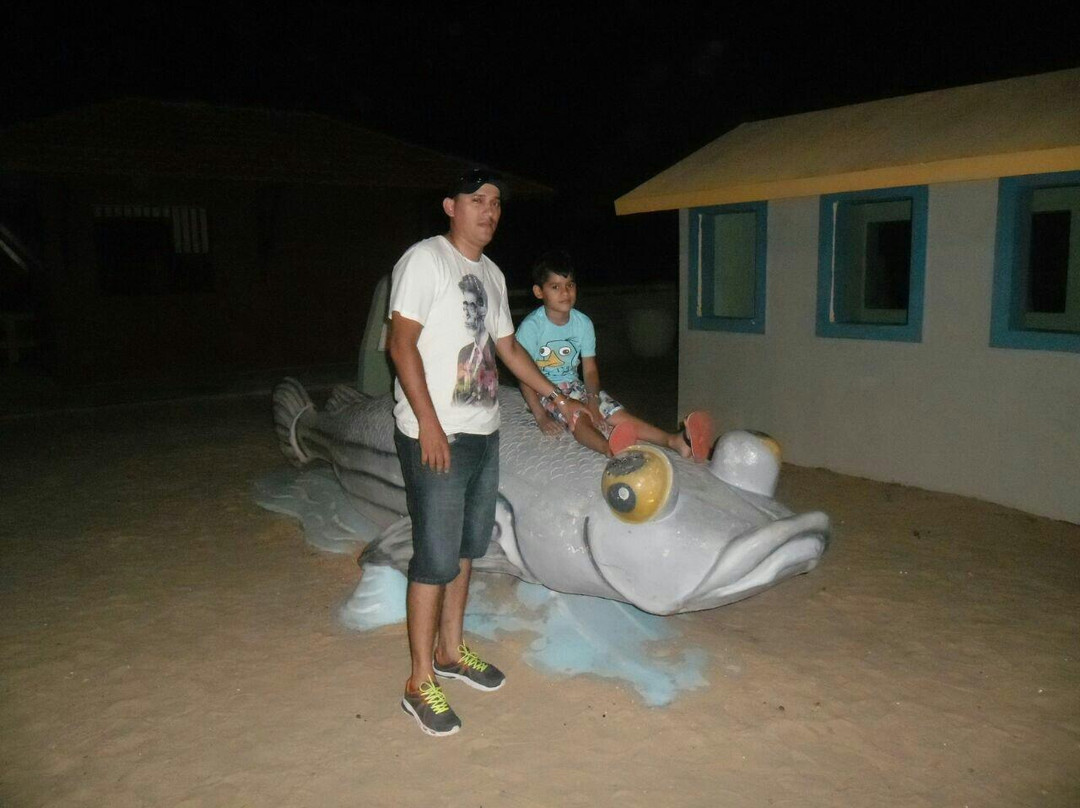 Corvina Beach-Salinopolis必去景点