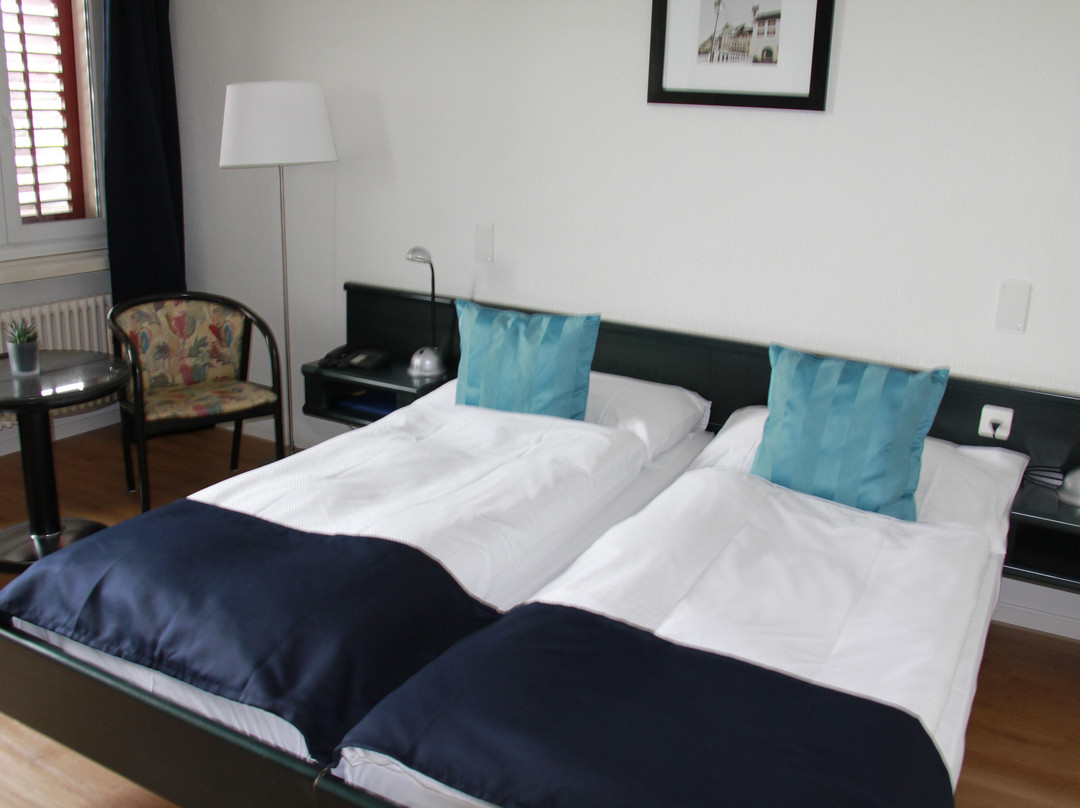 Gasthof Zum Schutzen Hotel主图
