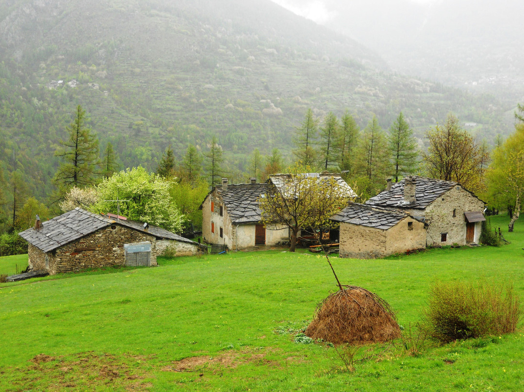 Parco Naturale del Gran Bosco di Salbertrand-Salbertrand必去景点