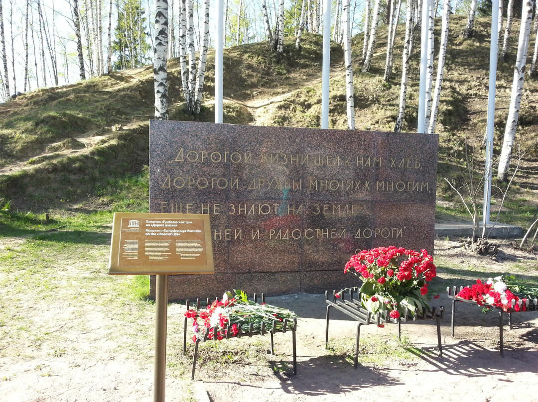 Rumbolovskaya Mountain景点图片