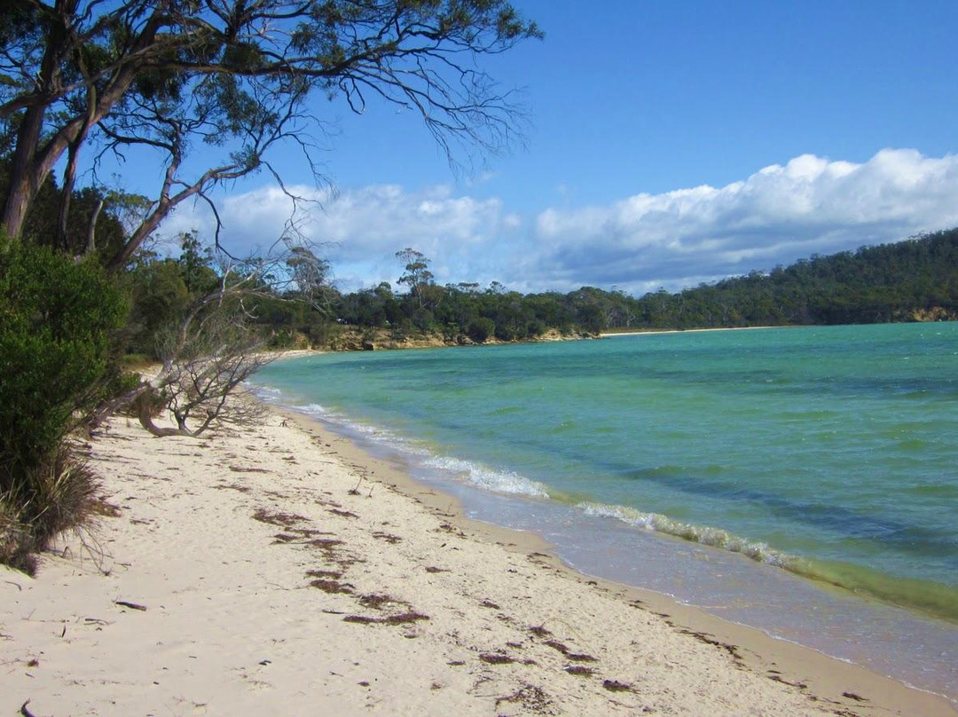 Lime Bay State Reserve-亚瑟港必去景点