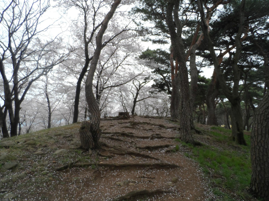 Seokbinggo (Stone Ice Storage)-庆州市必去景点