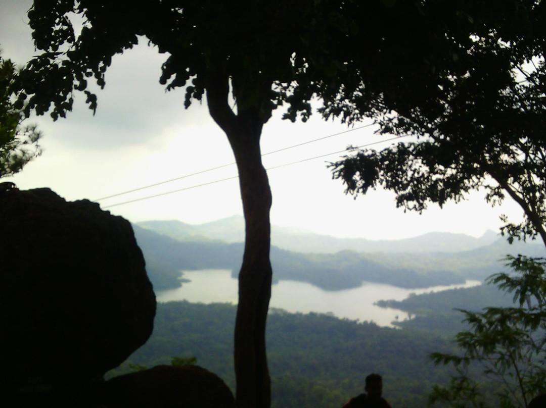Wisata Kalibiru景点图片