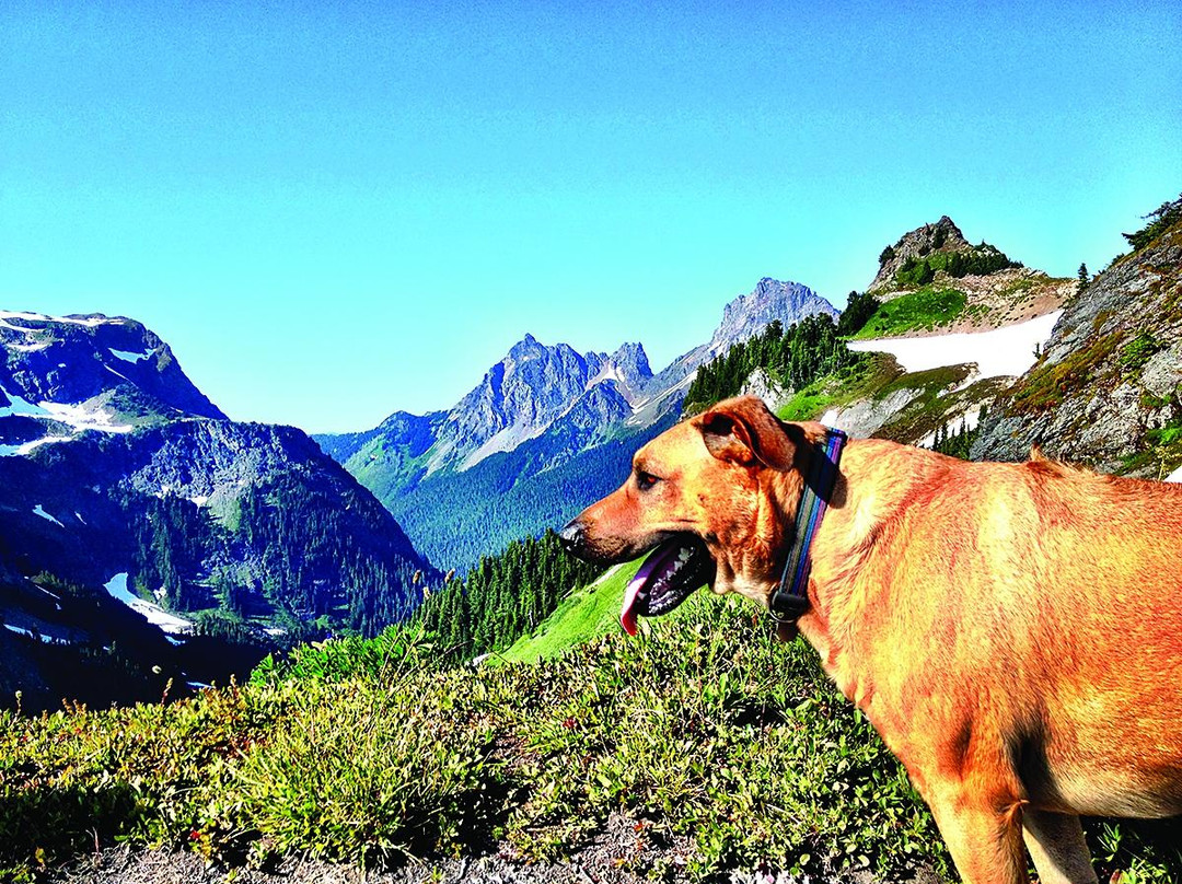 Clayton Beach-贝灵厄姆必去景点