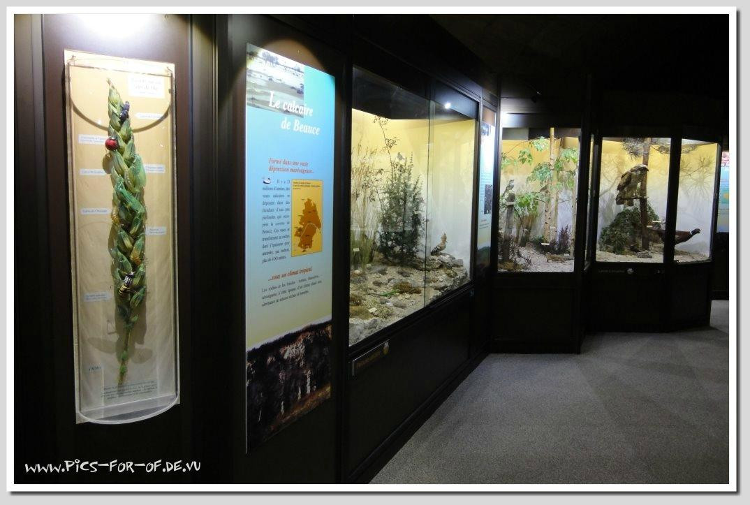 Muséum d'Histoire Naturelle景点图片