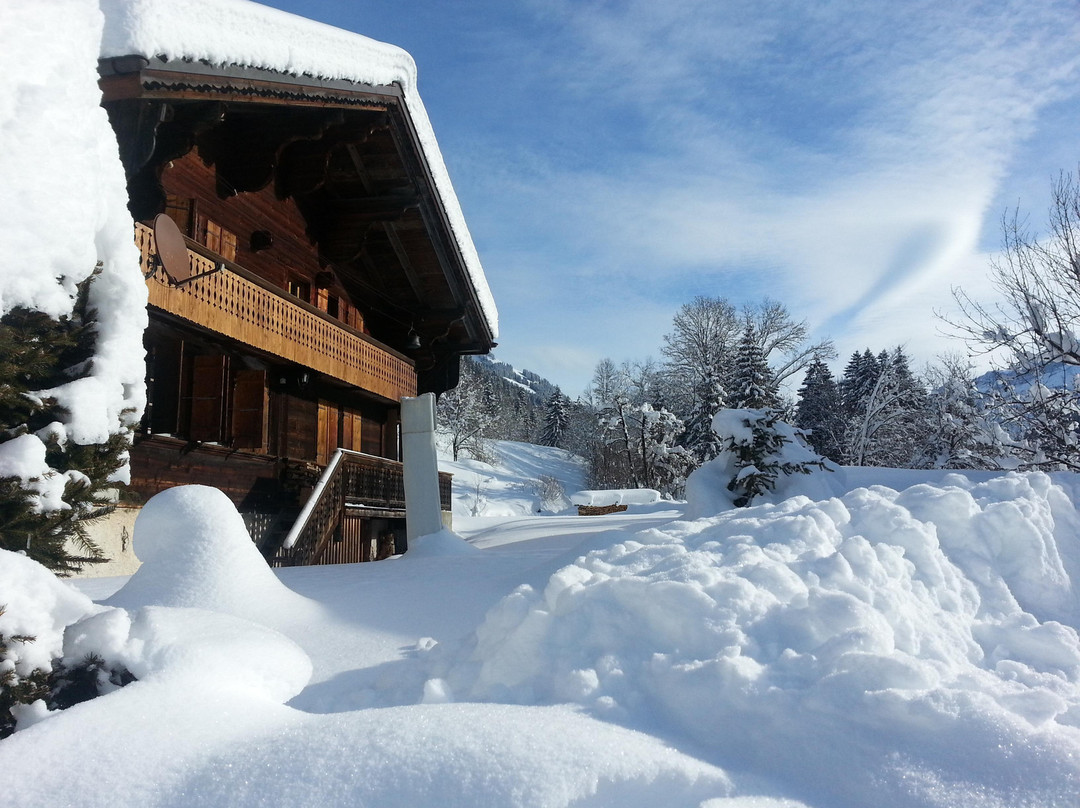 Chalet la Croisee主图