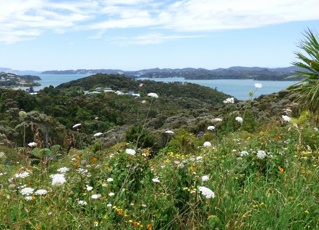 Paihia Harbour-派希亚必去景点