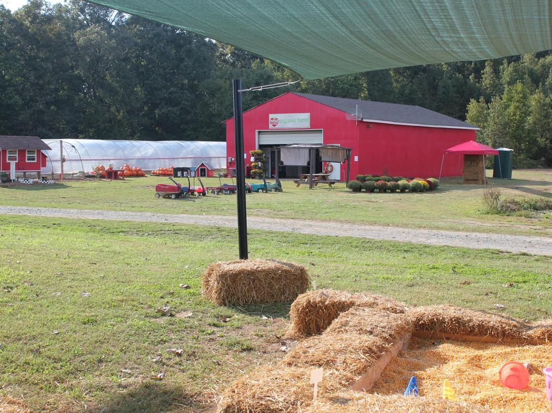 Wise Acres Organic Strawberry Farm-Indian Trail必去景点