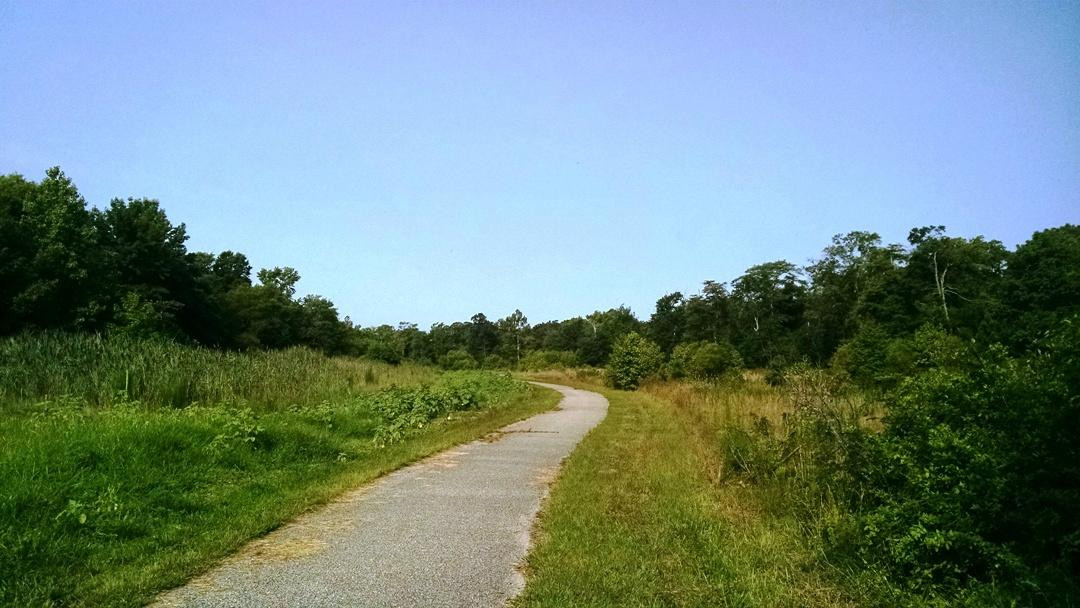 Cox Hall Creek Wildlife Management Area景点图片