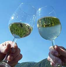 Klotten酒店住宿-Weinhotel Hubertus