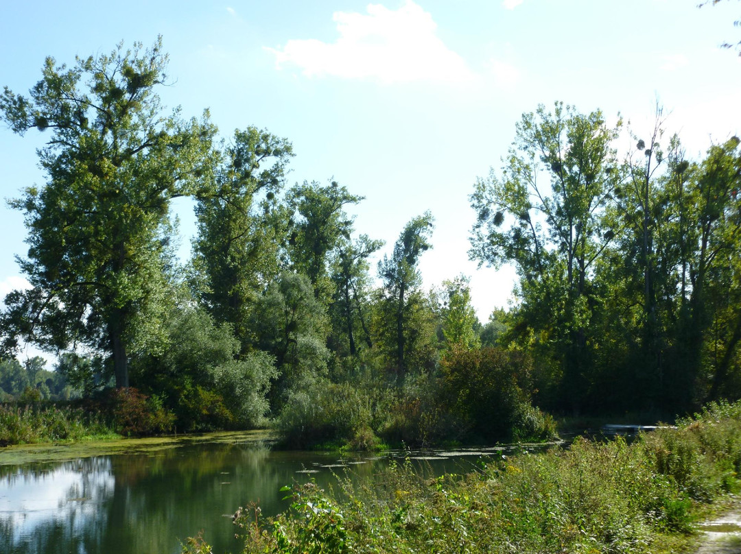 Réserve Naturelle de l'Ile du Rohrschollen-斯特拉斯堡必去景点