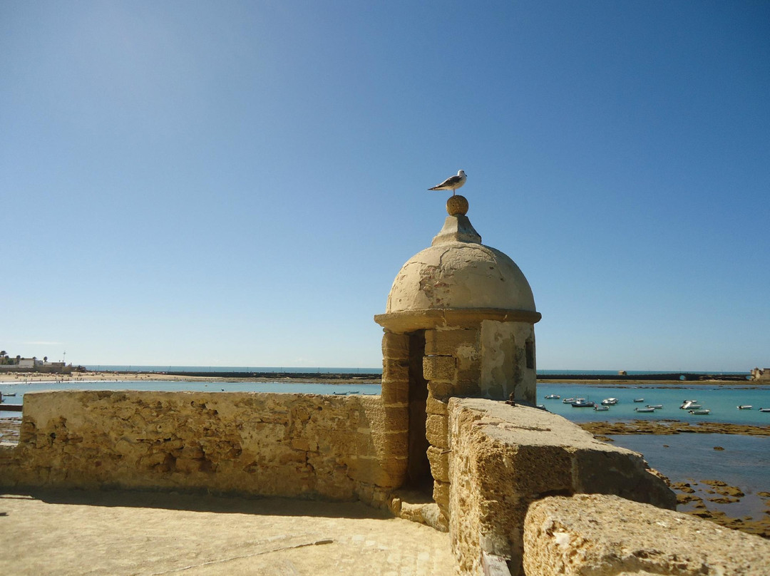 Castillo de Santa Catalina景点图片