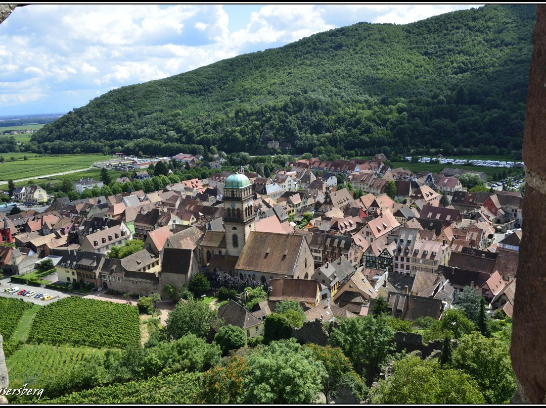 Château de Kaysersberg景点图片