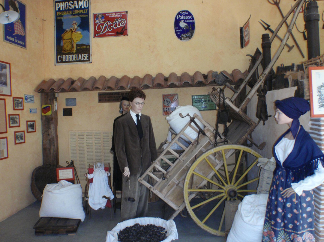 Ferme et Musee du Pruneau景点图片