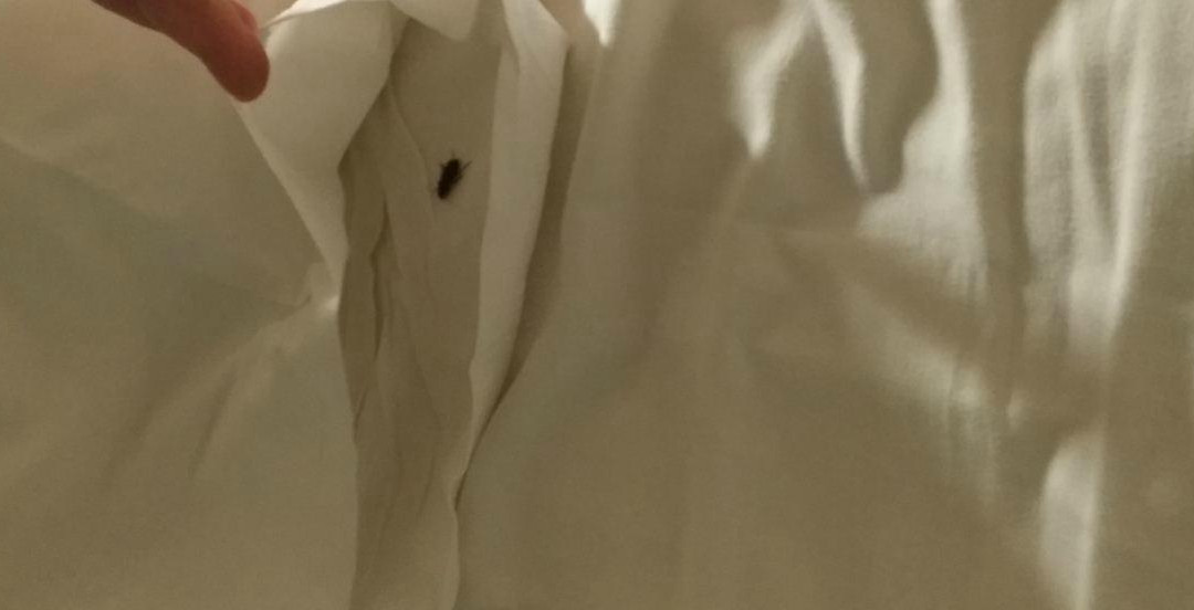 B&B HOTEL Poitiers 1 Futuroscope主图