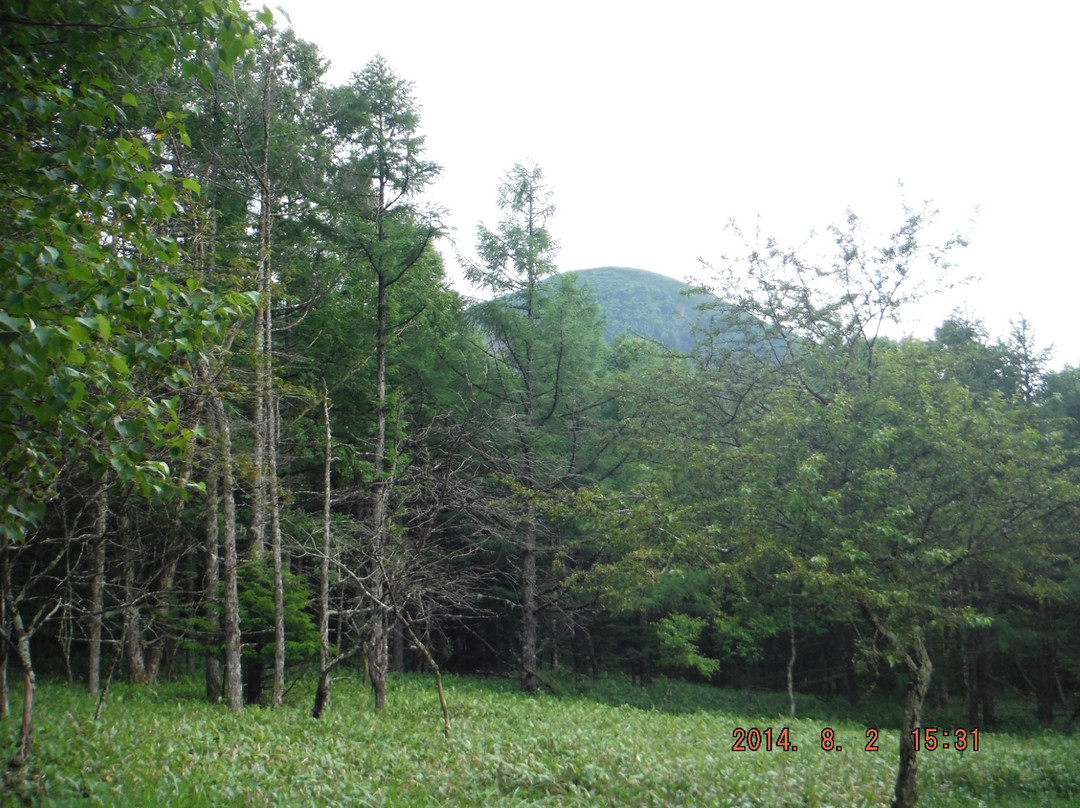 Shirakaba Highland International Ski Area-立科町必去景点