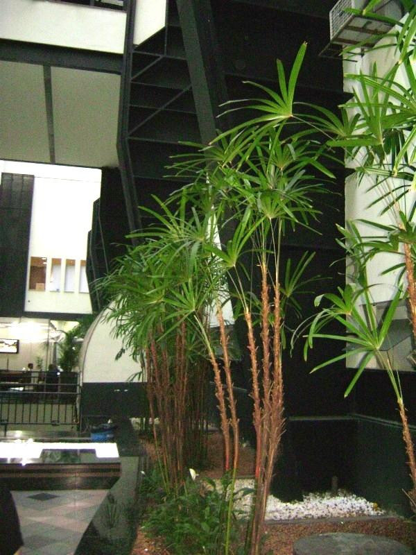 MINASCENTRO-贝洛哈里桑塔必去景点